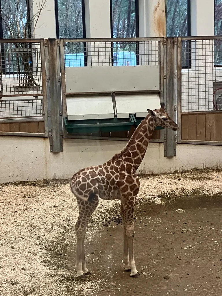 KiND Dinslaken e.V. - Nikolausfahrt 2025 - Bild 03