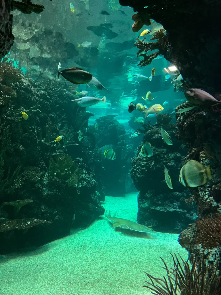 KiND Dinslaken e.V. - Nikolausfahrt 2025 - Bild 06