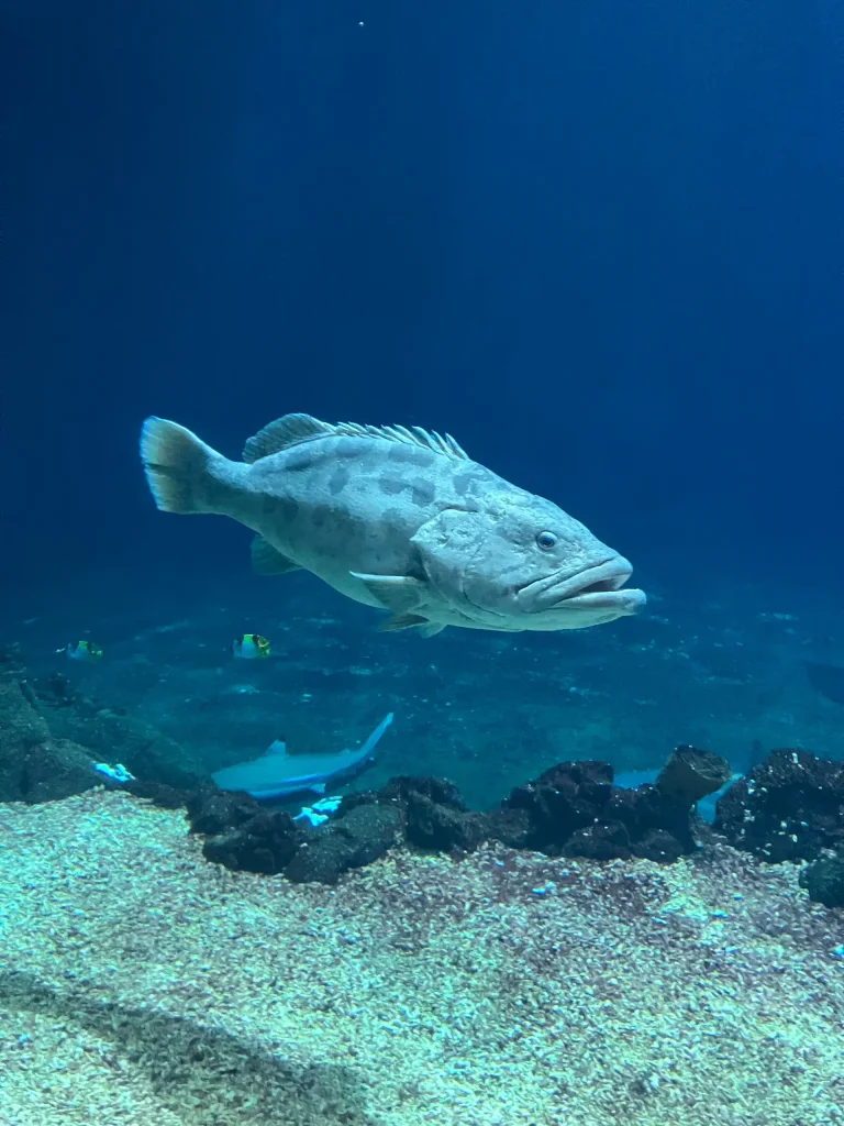 KiND Dinslaken e.V. - Nikolausfahrt 2025 - Bild 07