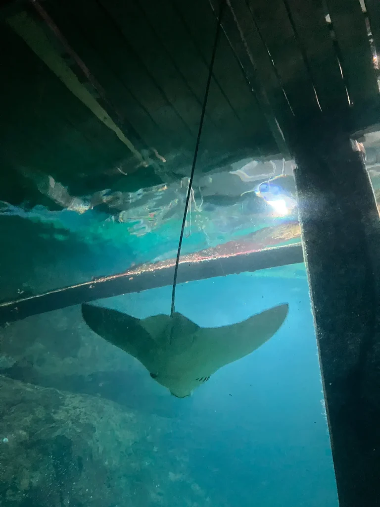 KiND Dinslaken e.V. - Nikolausfahrt 2025 - Bild 08