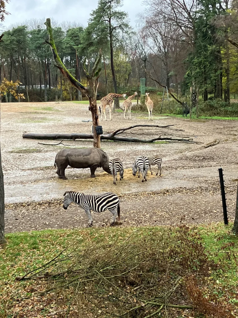 KiND Dinslaken e.V. - Nikolausfahrt 2025 - Bild 09