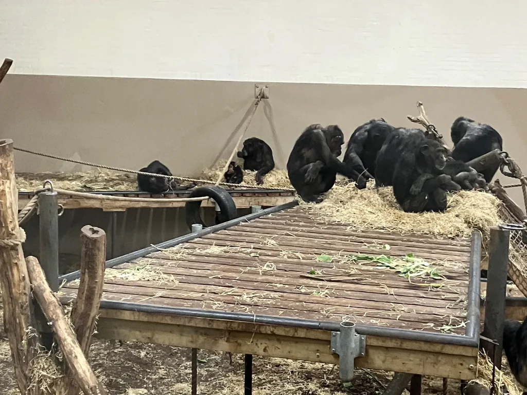 KiND Dinslaken e.V. - Nikolausfahrt 2025 - Bild 11