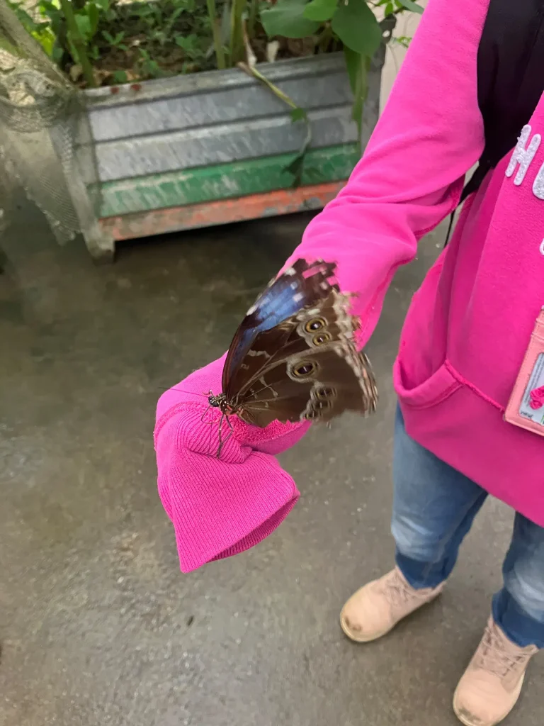 KiND Dinslaken e.V. - Nikolausfahrt 2025 - Bild 12