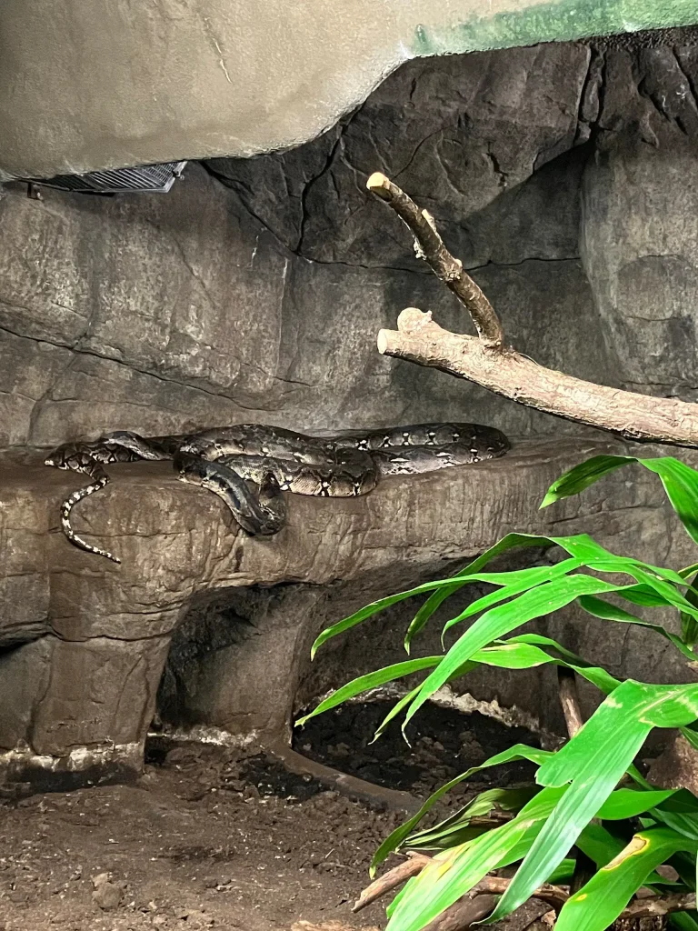 KiND Dinslaken e.V. - Nikolausfahrt 2025 - Bild 13