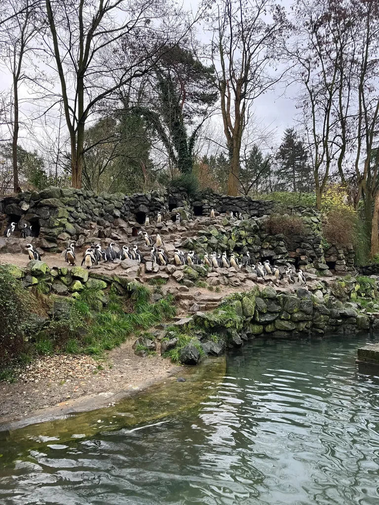 KiND Dinslaken e.V. - Nikolausfahrt 2025 - Bild 14