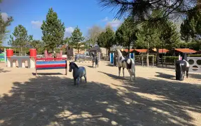 Familienausflug ins Irrland am 01.04.2026 – Ein unvergesslicher Tag in Kevelaer