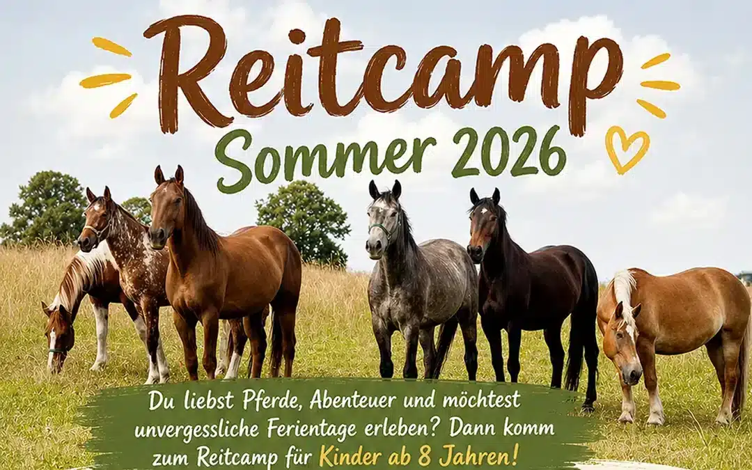 Reitcamp Sommer 2026