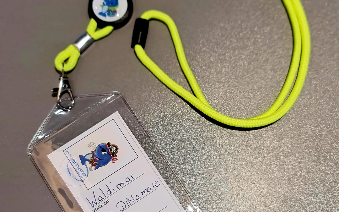 Ferienkartenaktion DINamare 2026