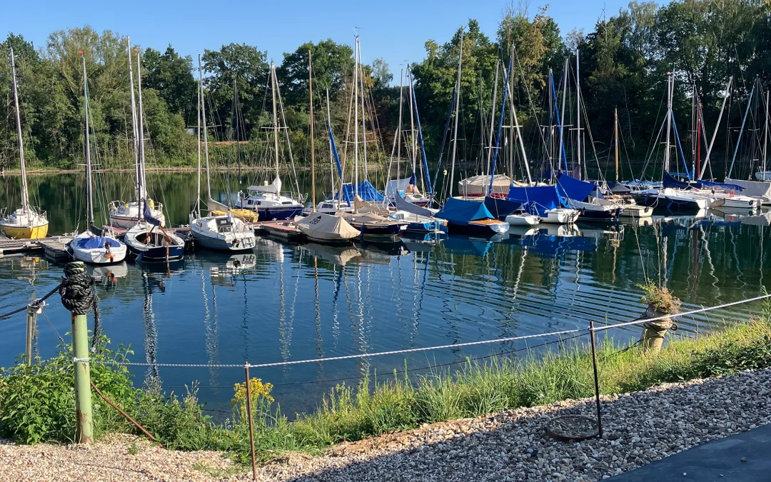Segelcamp vom 26.07. – 30.07.2026 in Kooperation mit dem Segelclub Niederrhein am idyllischen Diersfordter Waldsee