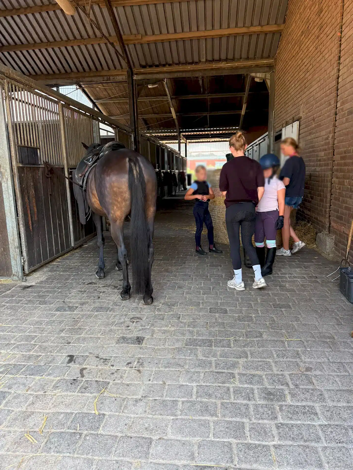 KiND Dinslaken e.V. - Reitercamp 2026 – Eine Woche voller Pferde, Spaß und Abenteuer - Bild 1 KiND Dinslaken e.V. - Reitercamp 2026 – Eine Woche voller Pferde, Spaß und Abenteuer - Bild 1